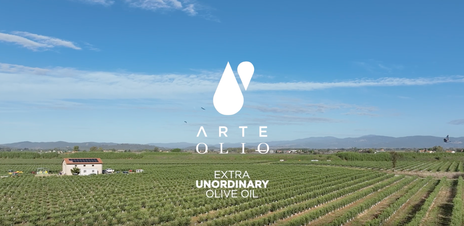 Load video: ArteOlio